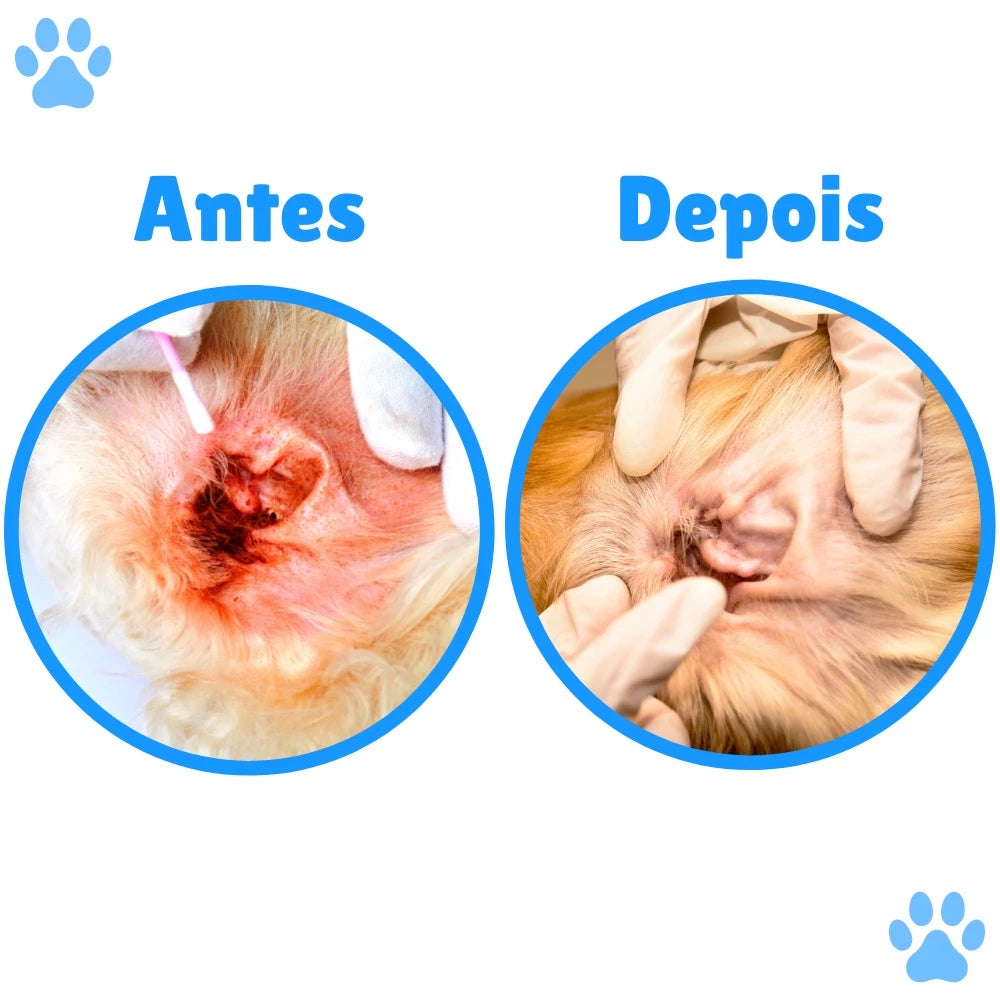 Kit Higiene Pet Clean 4 Em 1