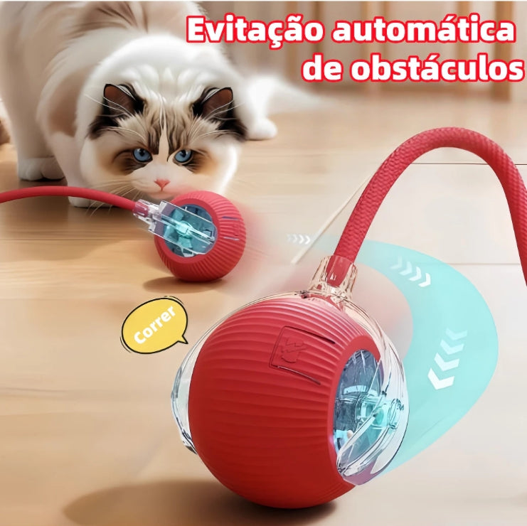 Bola Inteligente Automática para Pets com Movimento Interativo Recarregável