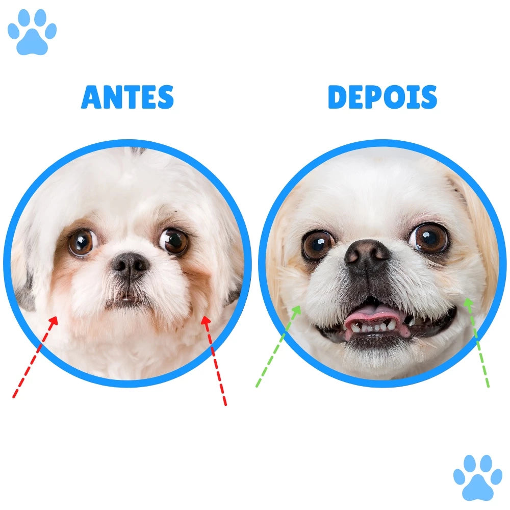 Kit Higiene Pet Clean 4 Em 1