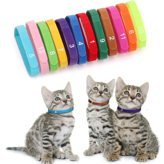 12 PCS Newborn Puppy ID Collars with Numbers Dog Kitten Collar 3 Adjustable Sizes of Personalized Collars for Small Medium Large