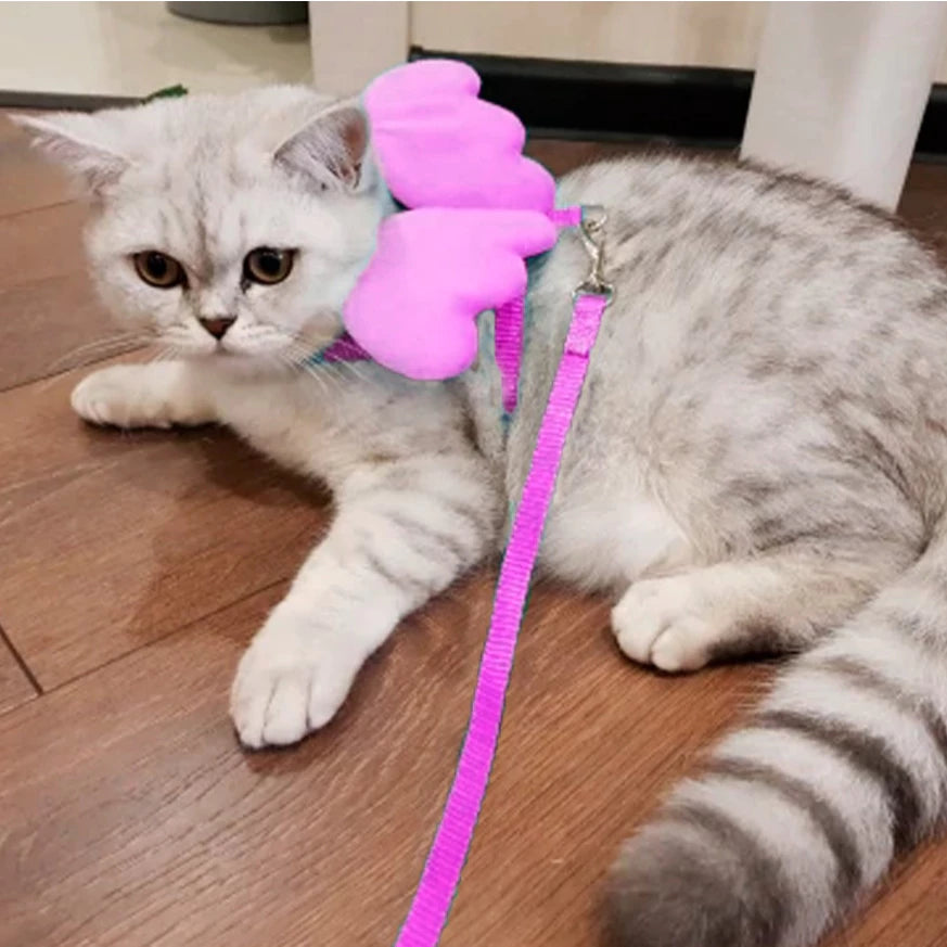 Coleira Peitoral Com Guia E Asas De Anjo Para Gatos