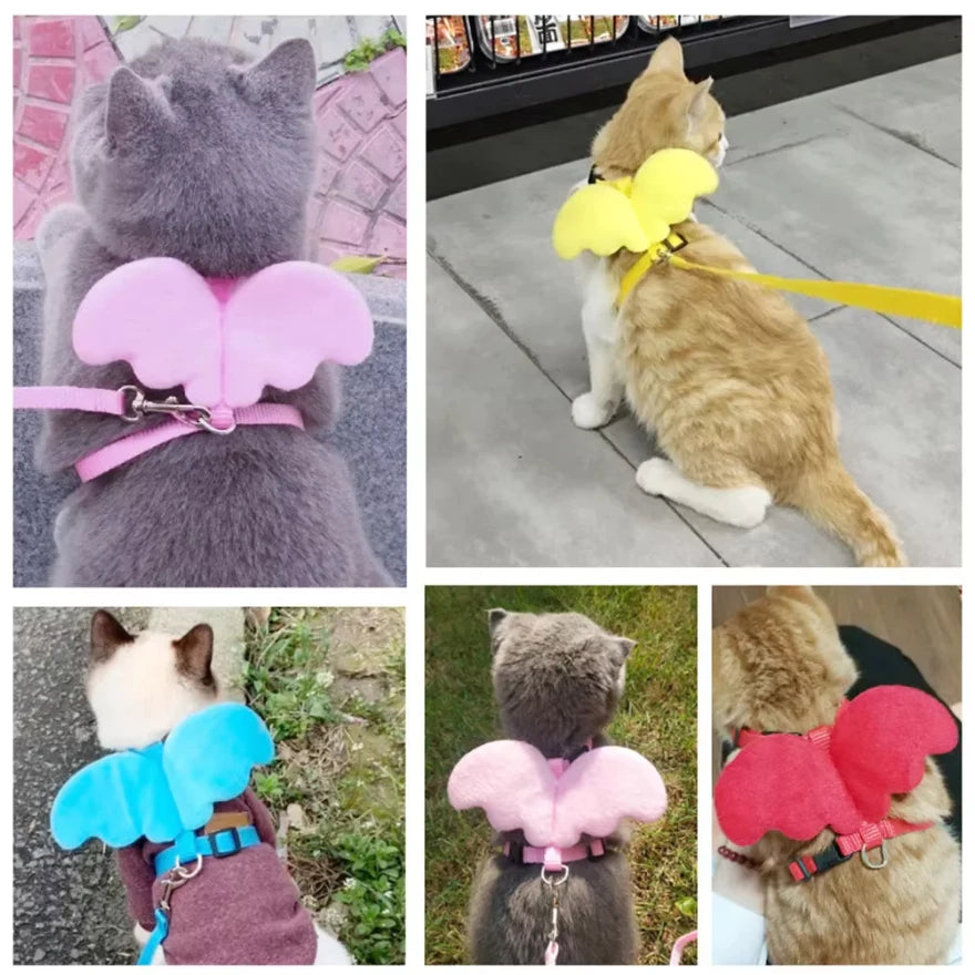 Coleira Peitoral Com Guia E Asas De Anjo Para Gatos