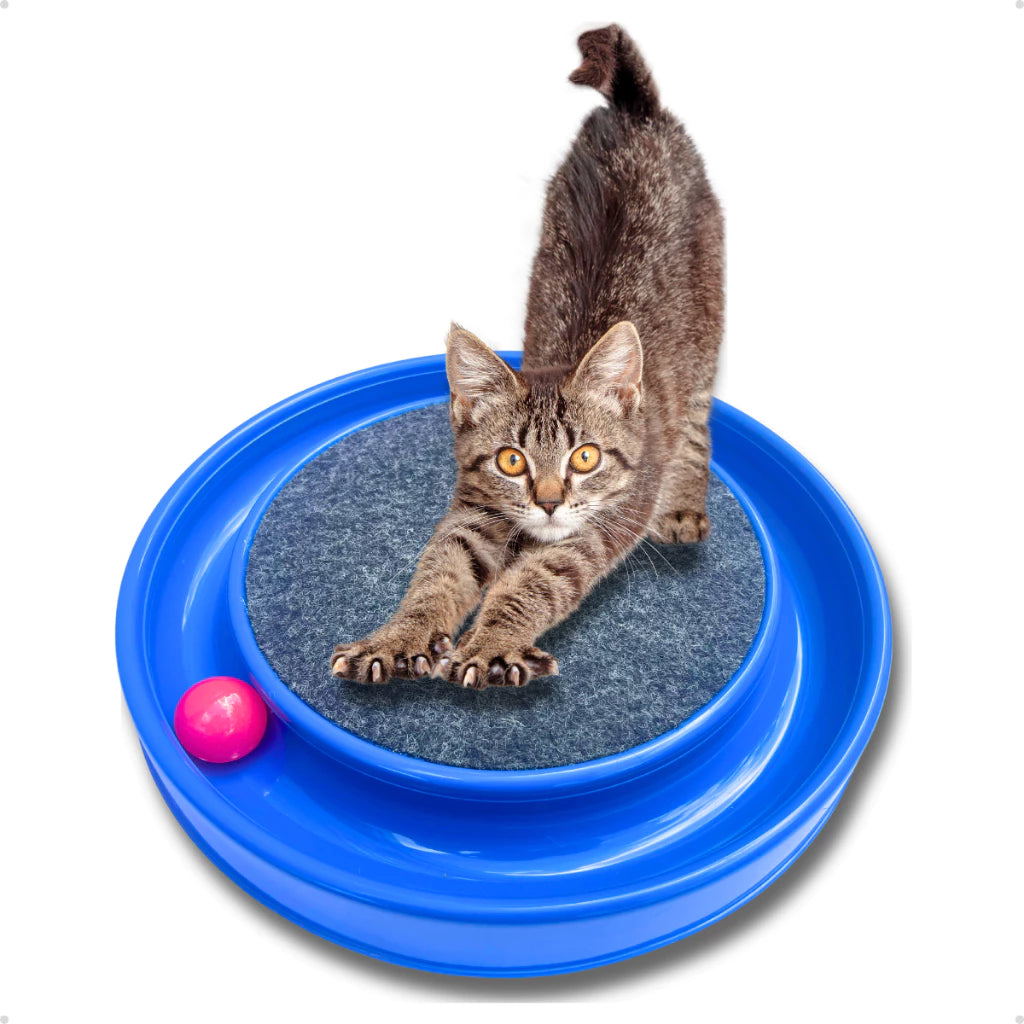Brinquedo Arranhador Interativo Com Bolinha Para Gatos