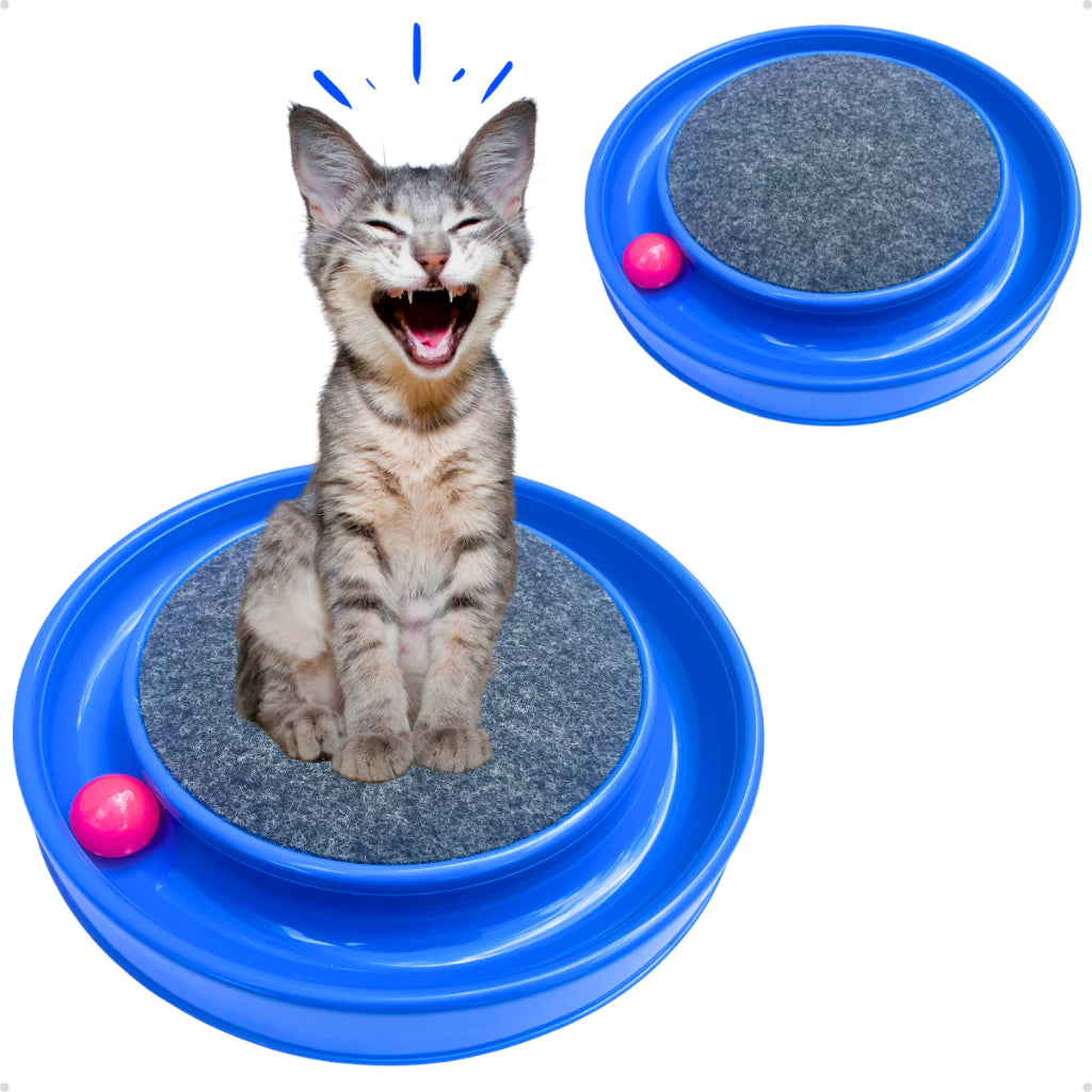 Brinquedo Arranhador Interativo Com Bolinha Para Gatos