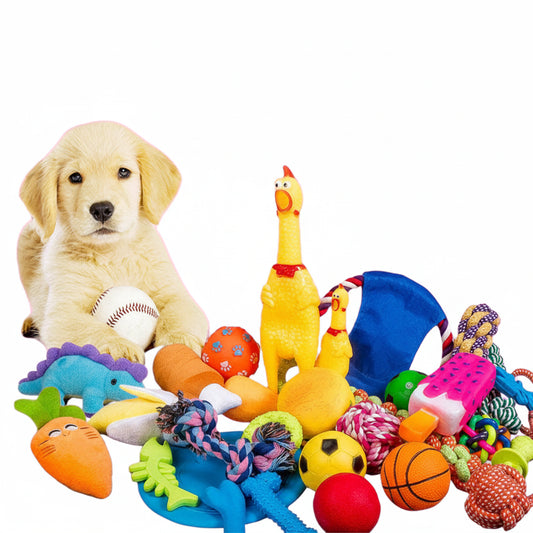 Kit de Brinquedos Mordedores para Cachorros 6 ou 10 Peças