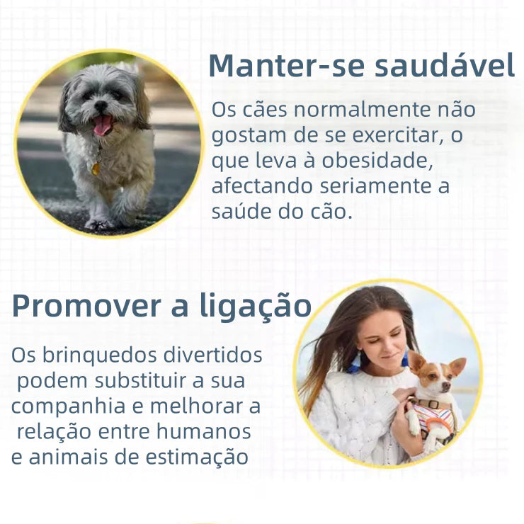 Kit de Brinquedos Mordedores para Cachorros 6 ou 10 Peças