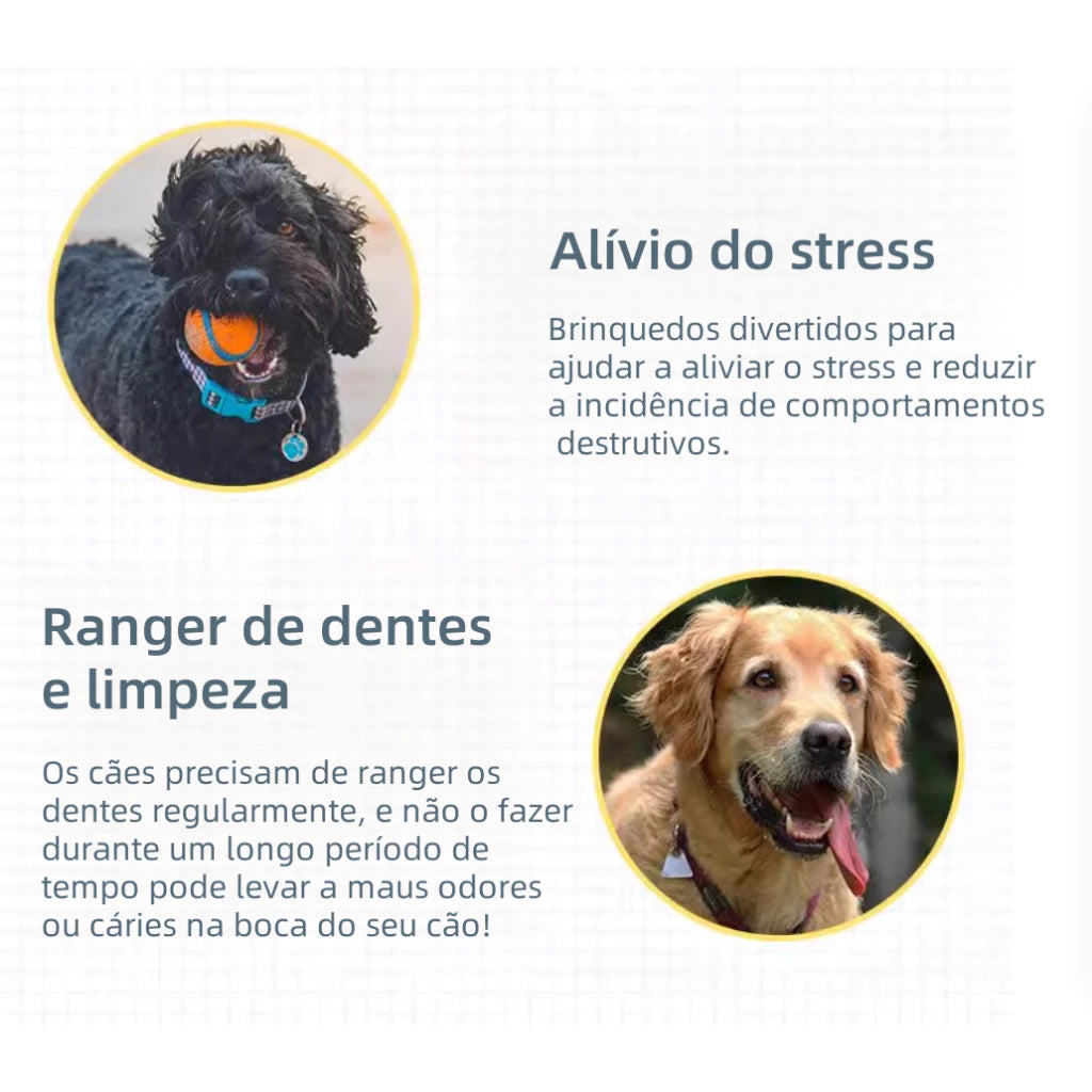 Kit de Brinquedos Mordedores para Cachorros 6 ou 10 Peças