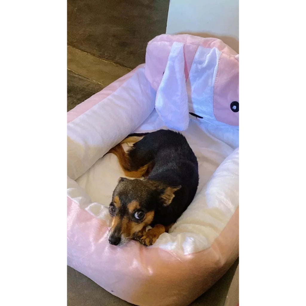 Caminha Pet Luxo Macia E Quentinha Com Cabeceira