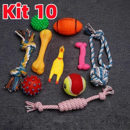 Kit de Brinquedos Mordedores para Cachorros 6 ou 10 Peças