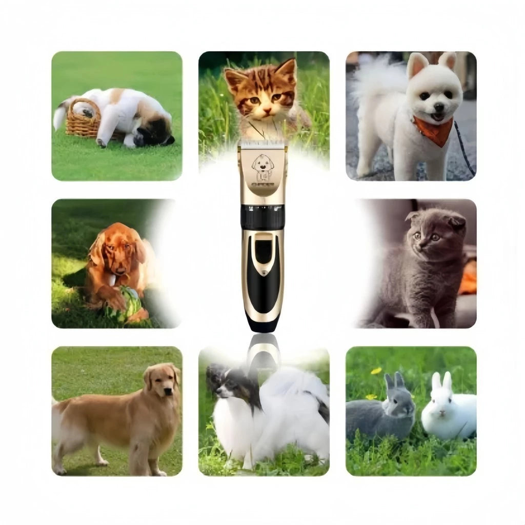 Kit Máquina De Tosa Profissional Para Pets Com 11 Peças