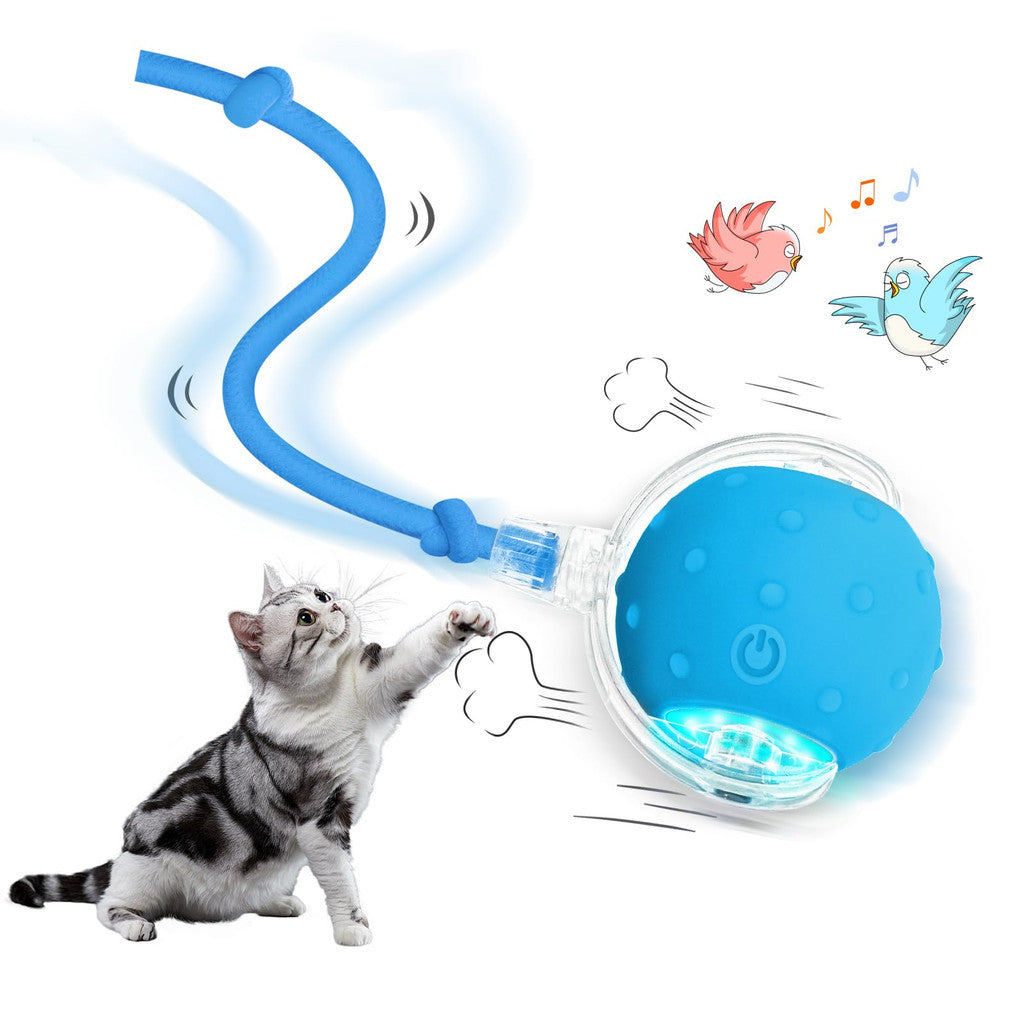 Bola Brinquedo Bolinha Para Gato Cachorro Auto Magico Elétrico Pets Usb Recarregável